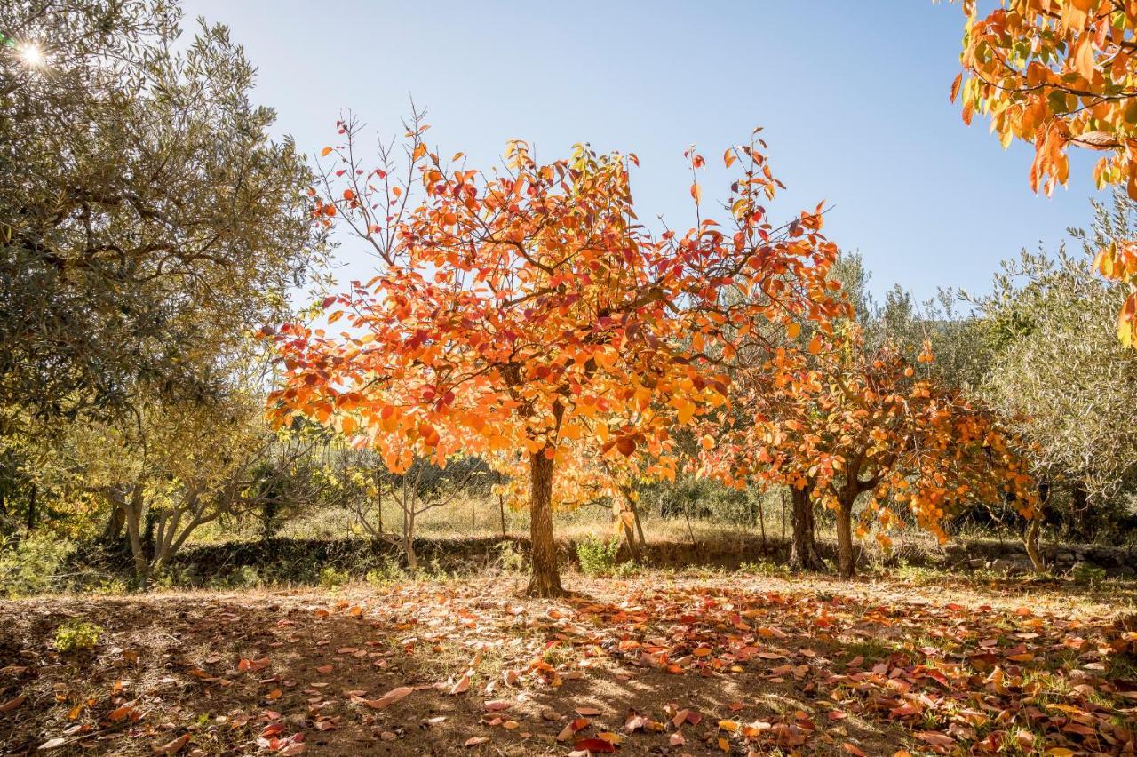 Valateddi Villa Cammarata Esterno foto